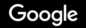 google logo